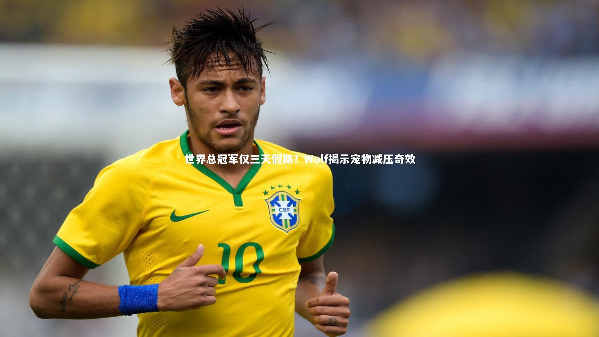 世界总冠军仅三天假期?Wolf揭示宠物减压奇效